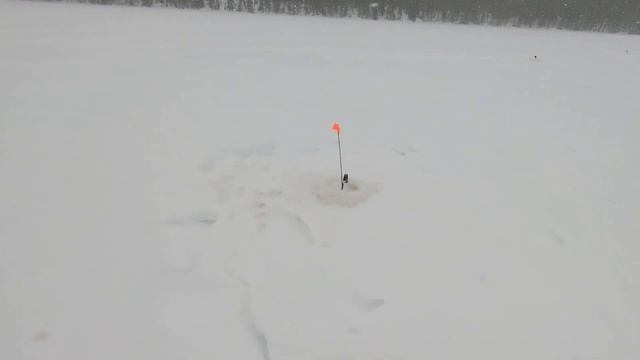 Нарезка лучших моментов на рыбалке # 1 смотреть онлайн