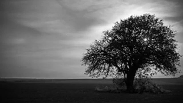 Worrytrain - Hospitalized смотреть онлайн