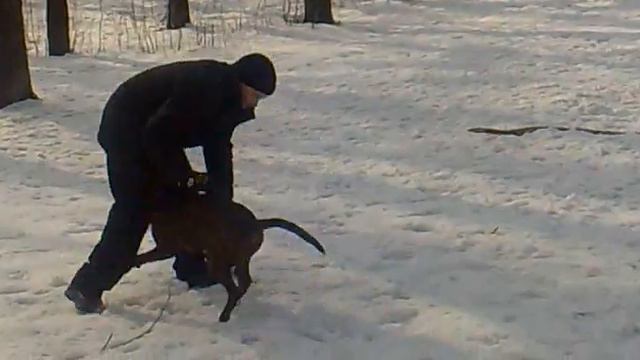 Боксер есть боксер... смотреть онлайн