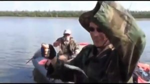 Как ловить тайменя на спиннинг - Снасти и наживки