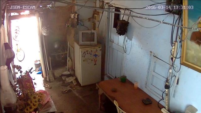 JSON Live Stream смотреть онлайн