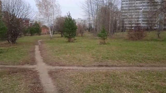 Пущино. Место для площадки для выгула и дрессировки собак смотреть онлайн