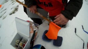 СКОРОСТНАЯ ловля на мормышку со льда на соревнованиях / Чемпионат Беларуси