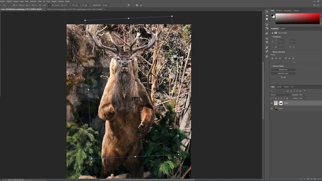 ??I Create HYBRID ANIMAL?? PHOTOSHOP MANIPULATION - [Speed Art] смотреть онлайн