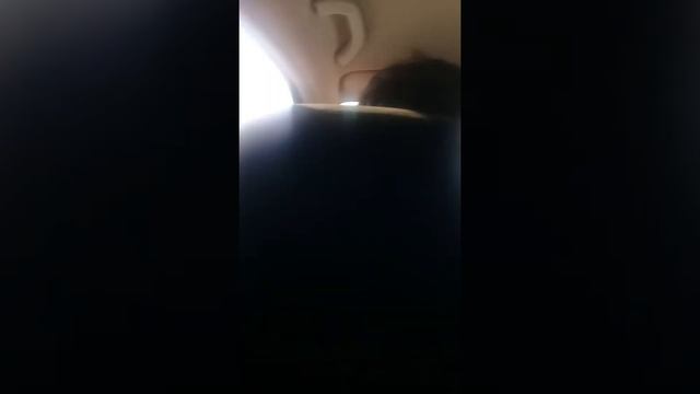 Кара балта Москва