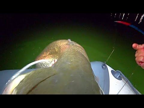 ВОЛОСЫ ДЫБОМ !!!! ЖОР ОГРОМНЫХ МОНСТРОВ В ШТИЛЬ!!! РЫБАЛКА НА ДОНКИ КРОКОДИЛ смотреть онлайн