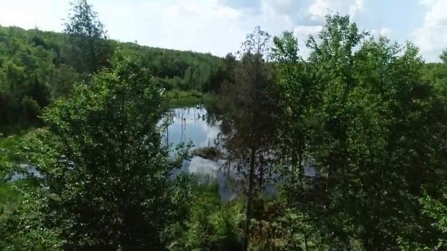 SOLD Off-Grid Camp on 52± Acres | Maine Real Estate смотреть онлайн
