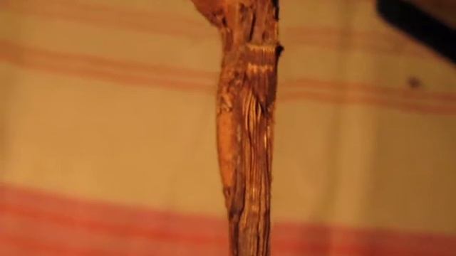 Прививка в расщеп "Томография" смотреть онлайн