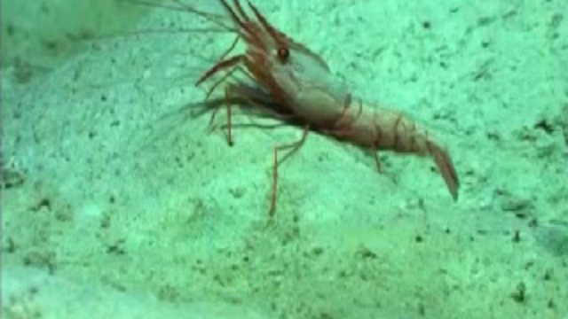  Свет во тьме смотреть онлайн