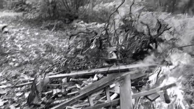 Fade Into You смотреть онлайн