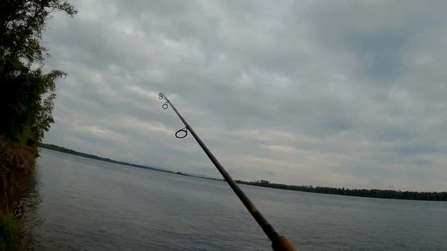 Рыбалка. Ловля селёдки  на спиннинг на Волге