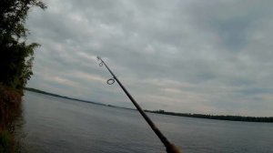Рыбалка. Ловля селёдки  на спиннинг на Волге