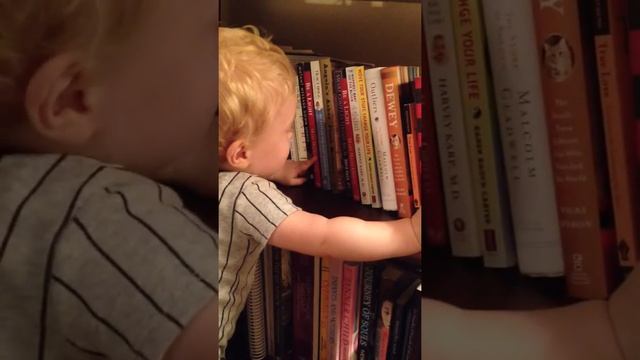 Smarty-pants смотреть онлайн