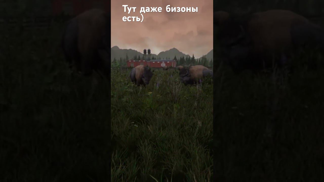 В этой игре есть даже бизоны - Alaskan road truckers смотреть онлайн