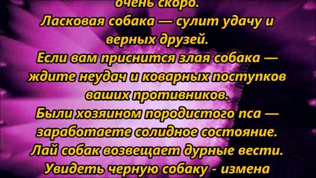 К чему снится собака смотреть онлайн