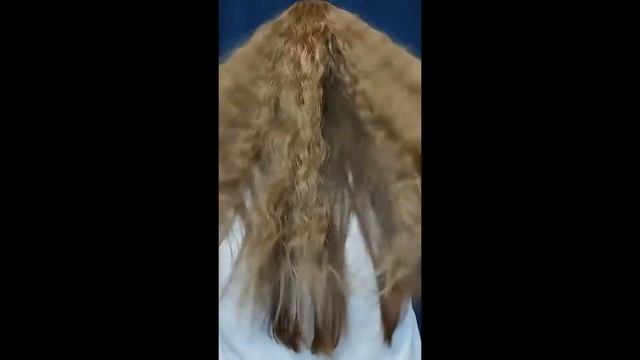 SilkStrip Накладные волосы на заколках волнистые коричнево-серые (шиньон на клипсах) 55 см смотреть онлайн