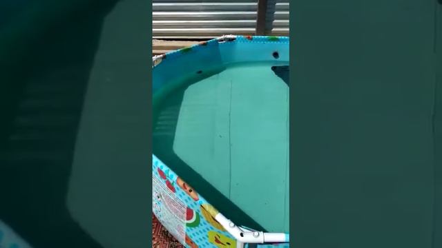 Видоотзыв о применении ЭмиксО чистый воздух для пруда и бассейна смотреть онлайн