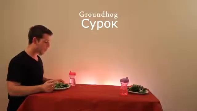 №1 Как едят животные на русском смотреть онлайн