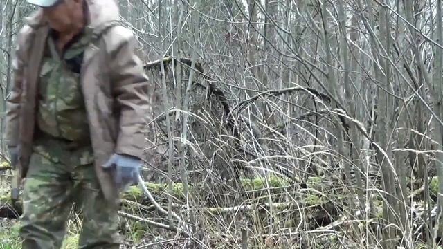 ВЫХОД В ЛЕС ПОСАДКА ПЛОДОВЫХ КОСТОЧЕК И СЕМЯН . смотреть онлайн