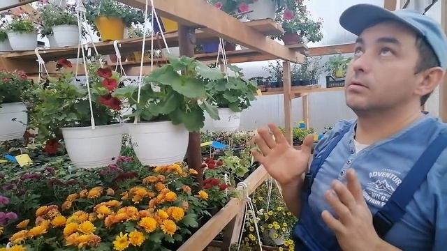 Помни это: зима - не лето! В теплице сухо и тепло, и удобно и светло! Подшили второй слой пленки))) смотреть онлайн