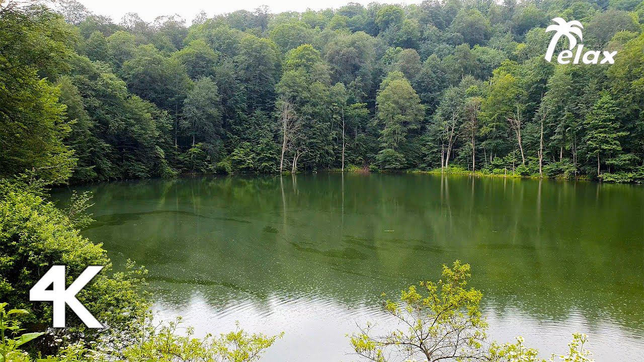 8 Hours of Rain and Birdsong on a karst lake смотреть онлайн