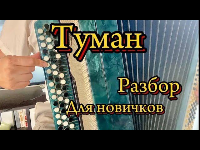 Прекрасная песня "ТУМАН" Учимся играть /ДЛЯ НОВИЧКОВ/ смотреть онлайн