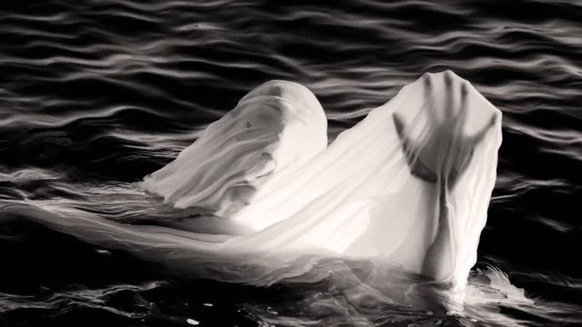 WHISPERS IN THE SHADOW - Exit-Gardens - Soundclip смотреть онлайн