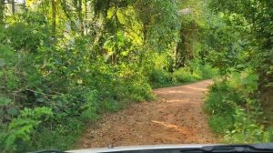 Suzuki Ignis Off-road test 2021 | Ignis Mud off-road test