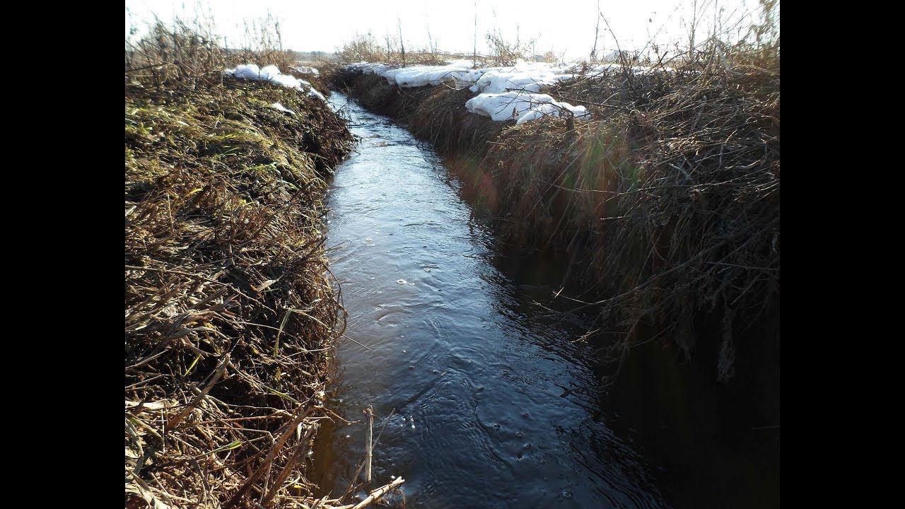 Хорошо бежит вода по моему каналу смотреть онлайн