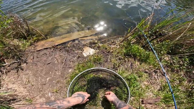 Szybki wypad na ryby Łowisko Okoń Maj 2023 смотреть онлайн