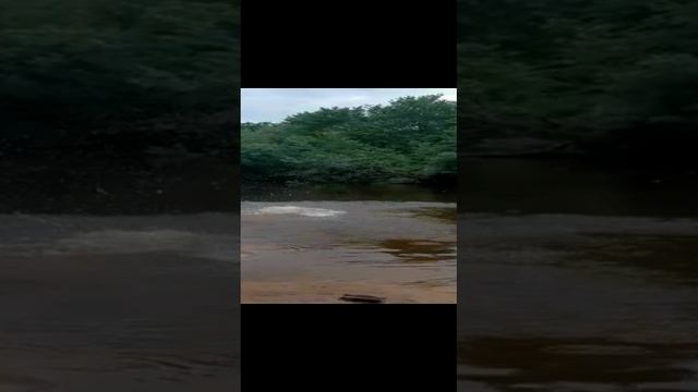 Прыжок в бездну.