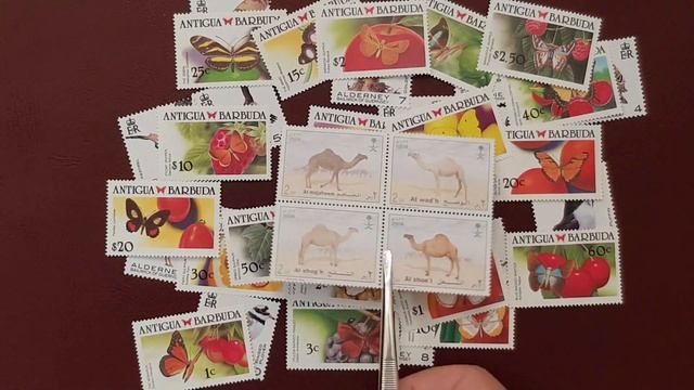 Всяко-разно это не заразно - 4 смотреть онлайн