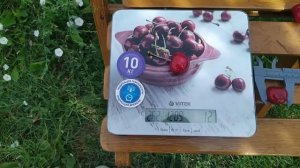 Черешня Саммит 09.07.2022