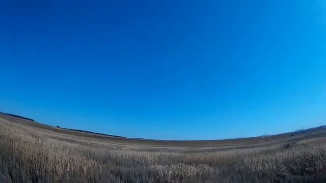 Cessna -150 (бальза) из AliExpress смотреть онлайн