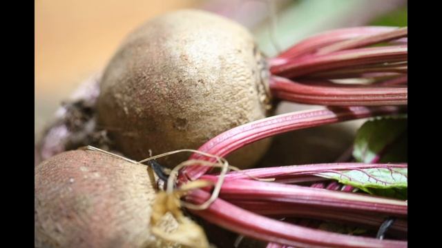 Свекла как средство при анемии смотреть онлайн