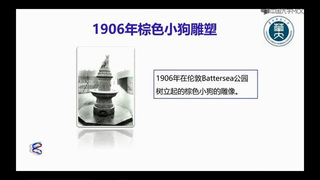 7 1 3 V03 实验动物与棕色小狗事件 смотреть онлайн