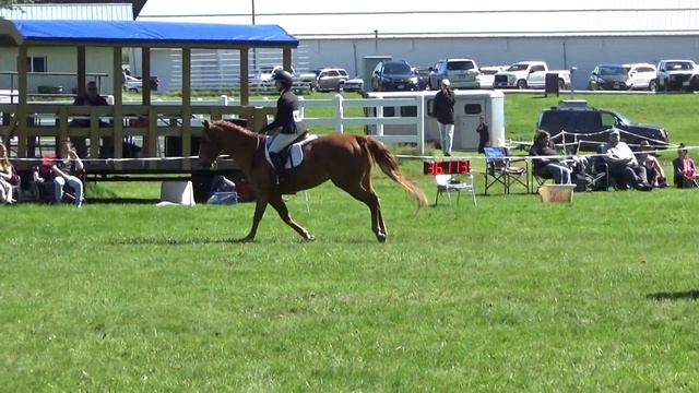 The Sweet Life & Erika 2nd in Jumper Stakes MTC .70 on grass, June 2022 смотреть онлайн
