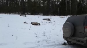 На Кубах и Лесном