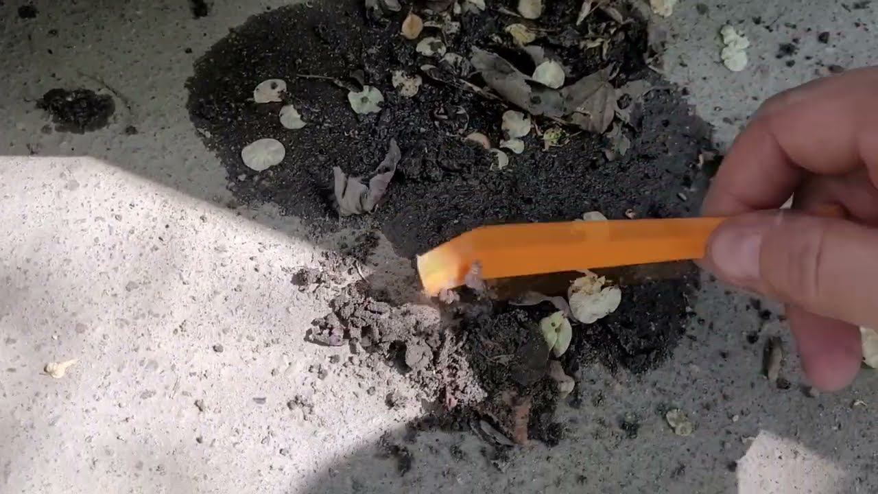 Шкода Рапид. Грязь за подкрылками. Особенности.