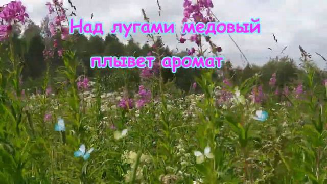 ПОЛЕВЫЕ ЦВЕТЫ