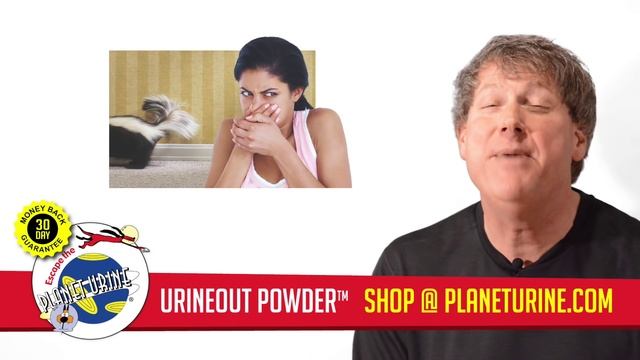 How to Remove Dog Urine Odor From Carpet смотреть онлайн