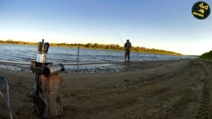 Ловля сазана на Дону. Июль 2020.