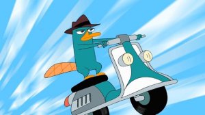 Кто такие утконосы?