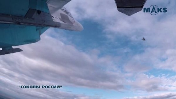 Соколы России