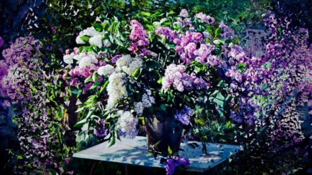 Александр Кушнер "Сирень" ("Фиолетовой, белой, лиловой...") Читает Павел Морозов смотреть онлайн