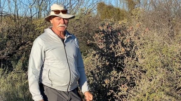 Hiker's Guide: Cholla cactus