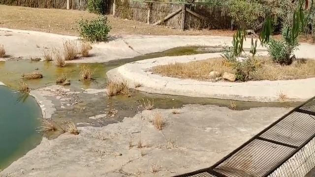 Friguia Park 2021 смотреть онлайн