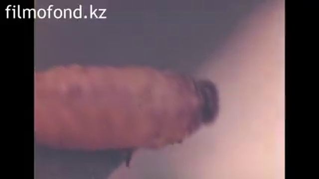 Болезни и вредители колосовых культур, 1976 год