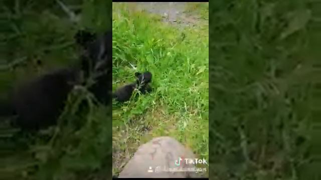 Моя дача тренд смотреть онлайн