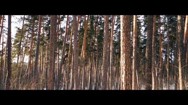 Лес Тольятти. Sony RX100 M1 | Winter Forest Emotional Cinematic Video Sample смотреть онлайн